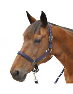 Cabezada de Cuadra de Nylon Canter