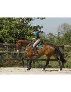Rear Boots Eventing Cross 2