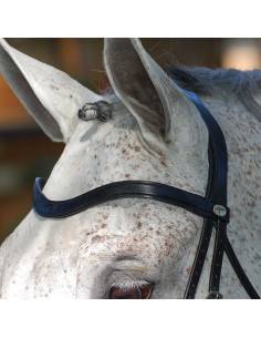 Frontalera Dyon Dressage V