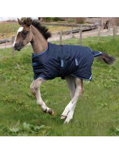 Manta de Exterior Horseware Amigo para Potro 200 Gr 2