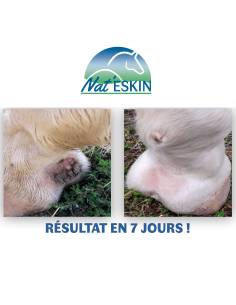 Gel Reparador para la Piel Nat'Eskin 2