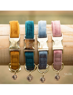 Dog Collar Kentucy Velvet