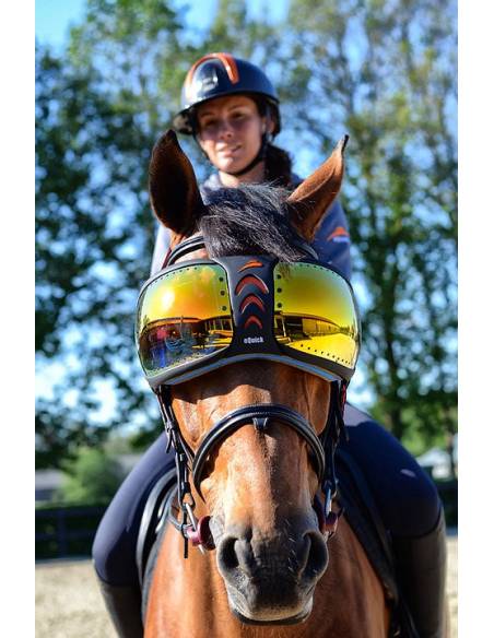 Gafas de Protección para Caballo eQuick eVysor