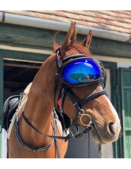 Gafas de Protección para Caballo eQuick eVysor