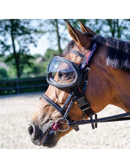 Gafas de Protección para Caballo eQuick eVysor