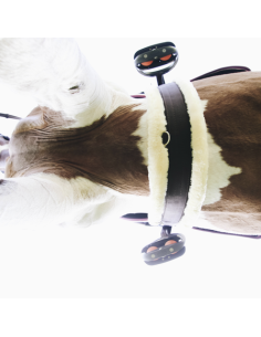 Cincha con Borrego Kentucky Horsewear