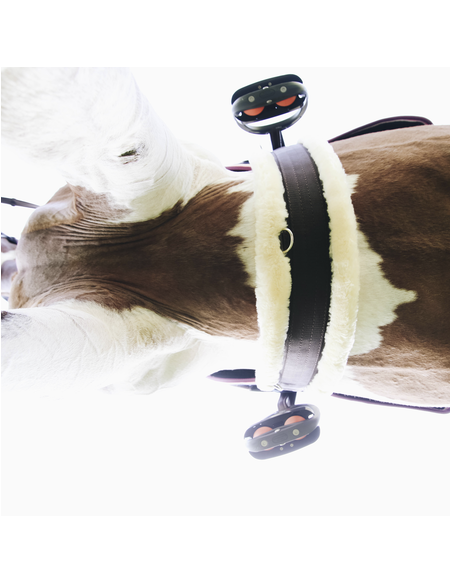 Cincha con Borrego Kentucky Horsewear