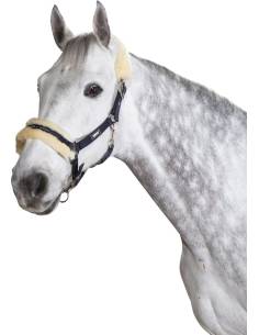 Cabezada de Cuadra con Borrego Eskadron Sports Selection