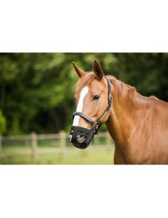 Cesta Bozal para Caballo
