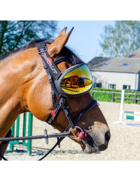 Gafas de Protección para Caballo eQuick eVysor