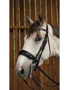 Cabezada Doble Dyon Working Dressage Charol Negro 2