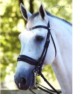 Cabezada Doble Dyon Dressage Working Collection Negro Mate
