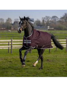 Amigo Hero Extra Light Outdoor Rug 50gr