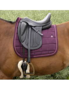 Mantilla de Doma Equithème Suede 2