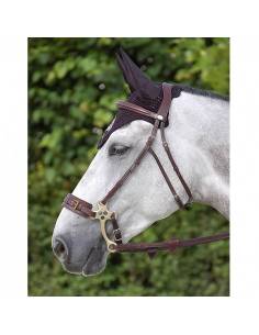 Cabezada Especial para Hackamore Dyon New English