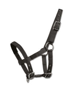Satable Birdle for Mini Shetty