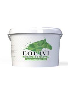 Gel Recuperador Muscular Equivi Competition
