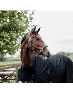 Kentucky Horse Bib Chest Protection for Rugs 2
