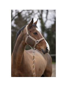 Cabezada de Cuadra Equithème Ligne