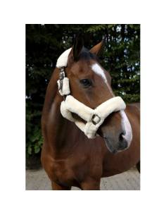 Cabezada de Cuadra con Borrego Equithème Teddy