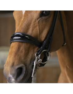 Norton Pro Shiny Double Rein Bridle