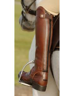 Polainas Ariat Concord 2