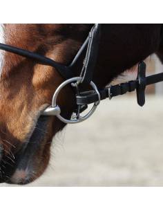 Filete Bucephalus Tres Piezas Stubben 2