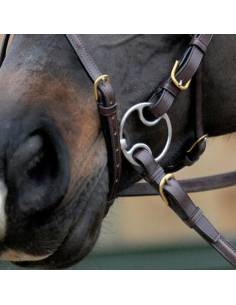 Filete Beval Stubben Easy Control 4 en 1 Doble Partido 2