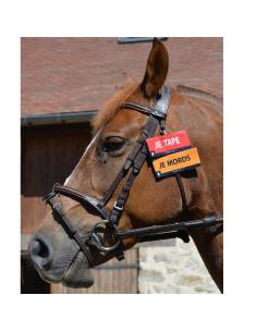 Warning Loop for Horses