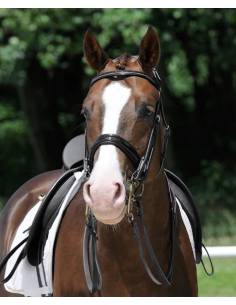 Cabezada Doble Passier Hubertus Schmidt para Pony
