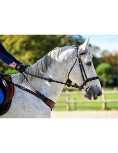 Freejump Collar