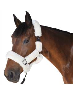 Cabezada de Cuadra con Borrego Canter para Pony