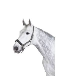 Cabezada de Cuadra Eskadron Sports Selection 2