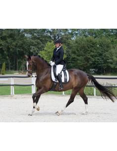 Chaqueta de Concurso QHP Noven Mujer 2