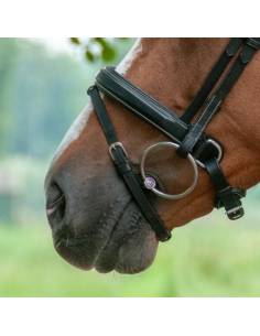 Trust Sweet Iron Jointed Snaffle Bit 2