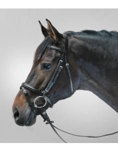 Simple Star Lifestyle Snaffle Bridle with Web Reins