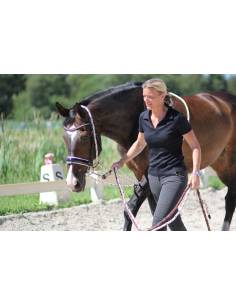 BR ConCord® Leader Walking Method
