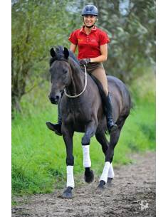 Collar para Caballos Linda Tellington Jones 2