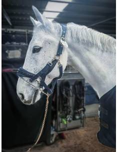 One Stallion Control Walking Noseband for Hot Horses 2
