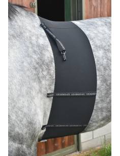 Faja Protectora de Espuelas Original Full Contact