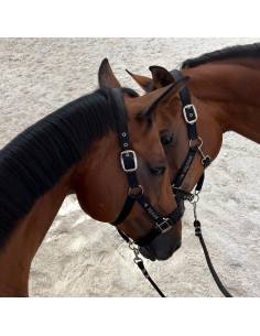 Cabezada de Cuadra Equiline Timmy 2