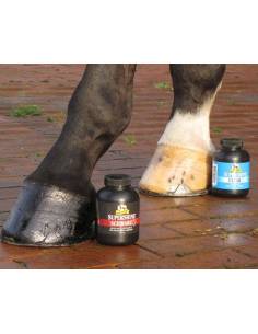 Absorbine Supershine Hoof Varnish 2