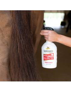 Show Sheen Finishing Detangler Spray 2