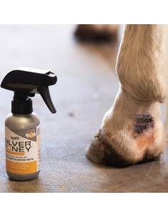 Silver Honey Healing Spray for Wounds 2