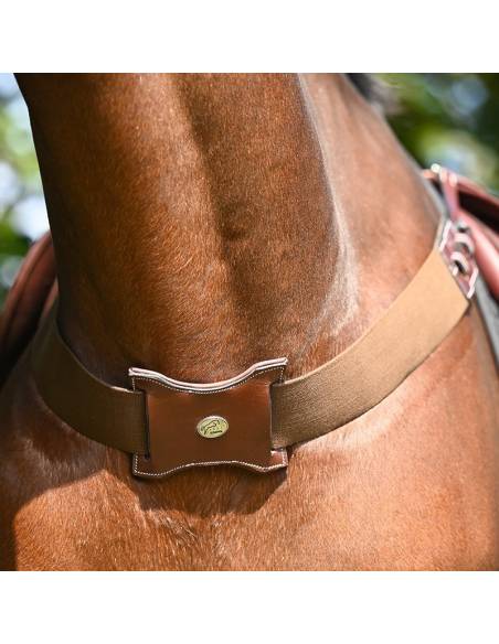 Pechopetral Collar Elástico Jump In