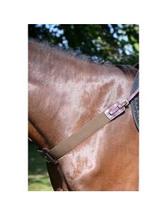 Pechopetral Collar Elástico Jump In 2