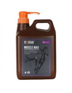 Foran Muscle Max Muscle Growth Supplement