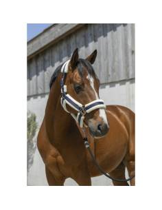 Cabezada de Cuadra con Borrego Norton Cosy