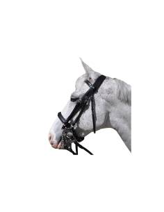 Cabezada Privilege Doble Flags&Cup Hagen
