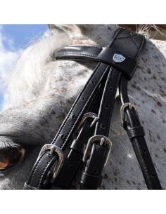 Flags&Cup Bridle Hagen 2